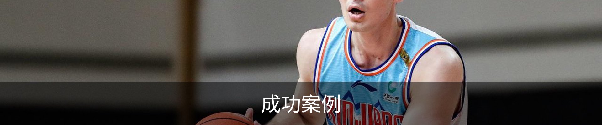 成功案例